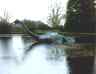 Nessie?