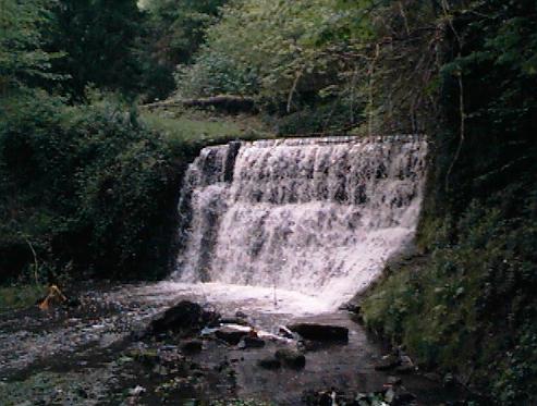 Pittencrieff Park: Pittencrieff Glen