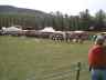 Highland Games