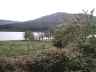 Loch Eil