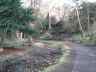 Pittencrieff Park
