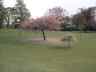 Pittencrieff Park