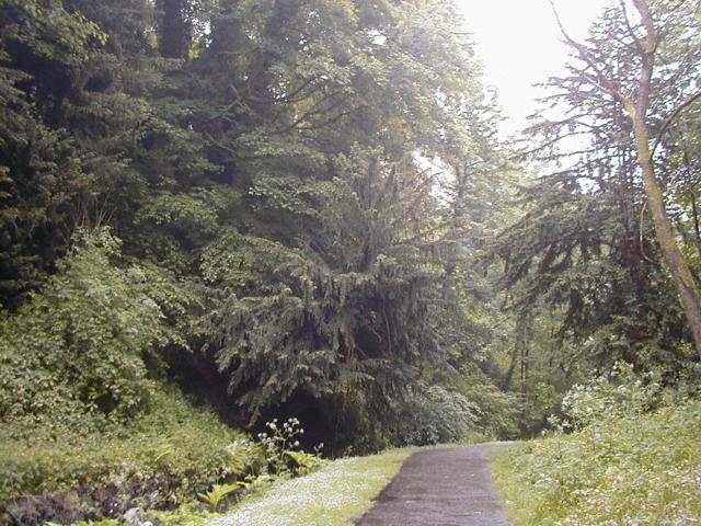Dunfermline: Pittencrieff Park