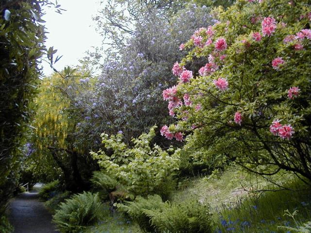 Isle of Skye: Dunvegan Castle Gardens