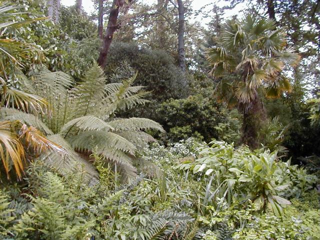 Inverewe Garden - Tropische Pflanzen in Schottland