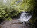Pittencrieff Glen