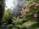 Dunvegan Castle Gardens