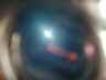 picture/_8murks.jpg